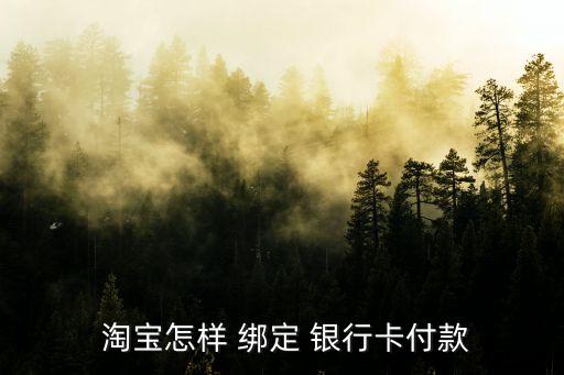 淘寶怎么綁定銀行卡號(hào),淘寶支付寶沒(méi)有綁定銀行卡可以支付嗎