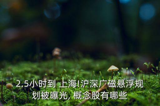 上?？萍紕?chuàng)新中心概念股,科技創(chuàng)新概念股有哪些