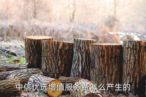 中信優(yōu)選增值服務費怎么產(chǎn)生的