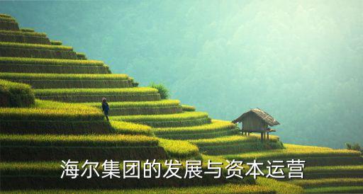 海爾公司財(cái)務(wù)報表