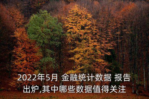 2022年5月 金融統(tǒng)計(jì)數(shù)據(jù) 報告出爐,其中哪些數(shù)據(jù)值得關(guān)注