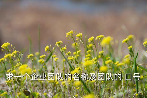 求一個(gè)企業(yè)團(tuán)隊(duì)的名稱及團(tuán)隊(duì)的 口號、