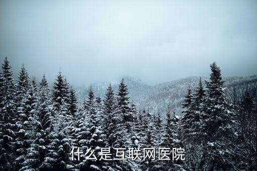 什么是互聯網醫(yī)院