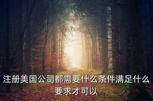 注冊(cè)美國(guó)公司都需要什么條件滿(mǎn)足什么要求才可以