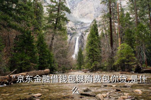 “京東金融借錢(qián)包銀消費(fèi)包你貸,是什么