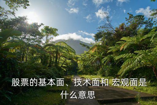  股票的基本面、技術(shù)面和 宏觀面是什么意思