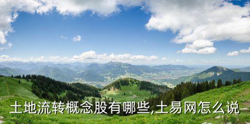 土地流轉概念股有哪些,土易網(wǎng)怎么說