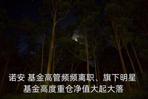 諾安 基金高管頻頻離職、旗下明星 基金高度重倉(cāng)凈值大起大落