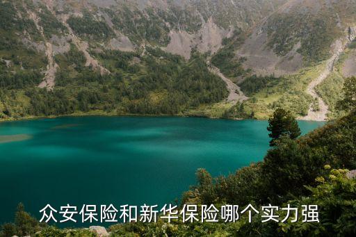  眾安保險和新華保險哪個實(shí)力強(qiáng)