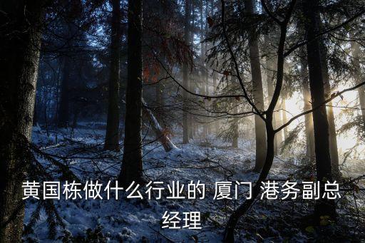 黃國棟做什么行業(yè)的 廈門 港務副總經理