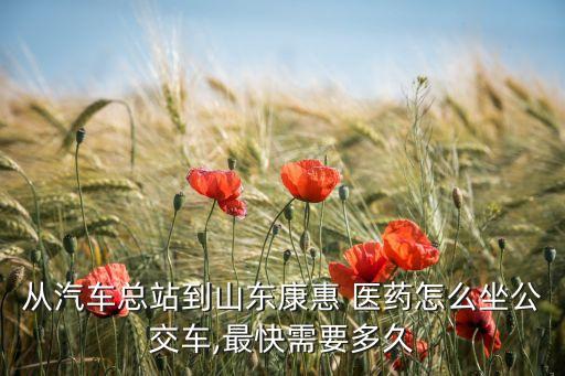 從汽車(chē)總站到山東康惠 醫(yī)藥怎么坐公交車(chē),最快需要多久