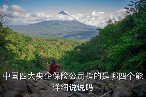 中國(guó)四大央企保險(xiǎn)公司指的是哪四個(gè)能詳細(xì)說(shuō)說(shuō)嗎
