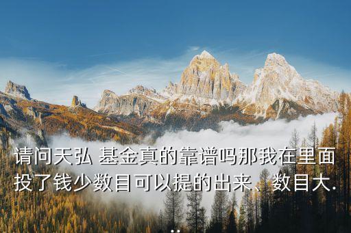 請(qǐng)問天弘 基金真的靠譜嗎那我在里面投了錢少數(shù)目可以提的出來、數(shù)目大...