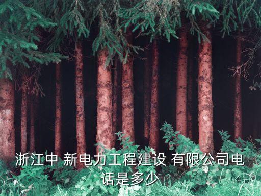 浙江中 新電力工程建設(shè) 有限公司電話(huà)是多少