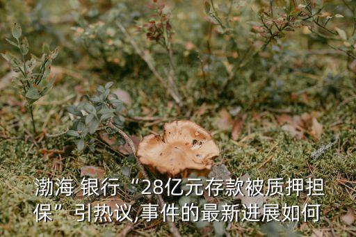  渤海 銀行“28億元存款被質(zhì)押擔(dān)?！币裏嶙h,事件的最新進展如何
