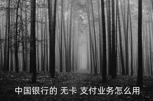  中國(guó)銀行的 無卡 支付業(yè)務(wù)怎么用
