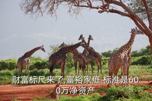 財富標(biāo)尺來了,富裕家庭 標(biāo)準(zhǔn)是600萬凈資產(chǎn)