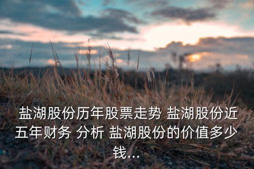 鹽湖股份歷年股票走勢(shì) 鹽湖股份近五年財(cái)務(wù) 分析 鹽湖股份的價(jià)值多少錢(qián)...