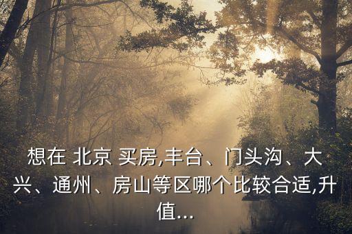 想在 北京 買房,豐臺、門頭溝、大興、通州、房山等區(qū)哪個比較合適,升值...