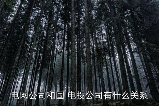 電網(wǎng)公司和國 電投公司有什么關系