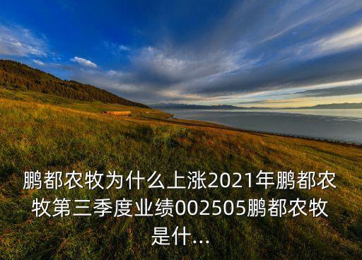 廣西富滿(mǎn)地農(nóng)資集團(tuán)股份有限公司