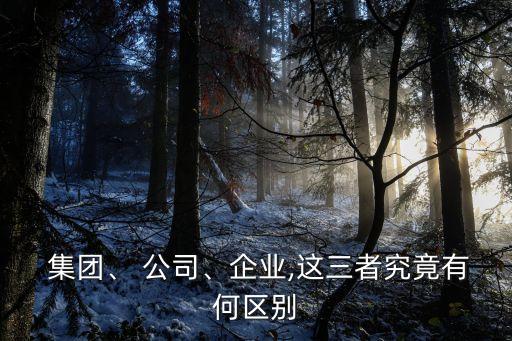  集團(tuán)、 公司、企業(yè),這三者究竟有何區(qū)別