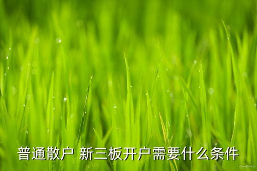 普通散戶 新三板開戶需要什么條件