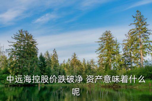 中遠?？毓蓛r跌破凈 資產(chǎn)意味著什么呢