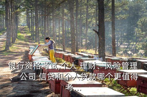銀行資格考試,個人 理財、風(fēng)險管理、 公司 信貸和個人貸款哪個更值得考...