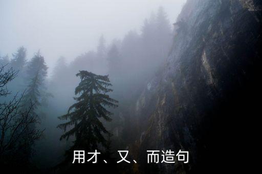 用才、又、而造句