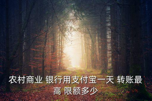 農村商業(yè) 銀行用支付寶一天 轉賬最高 限額多少