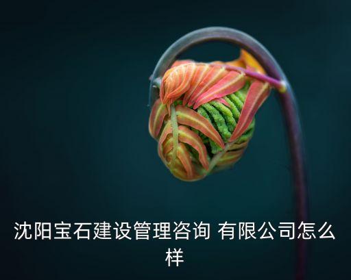 龐?？毓捎邢薰?安徽龐海智能設(shè)備制造有限公司