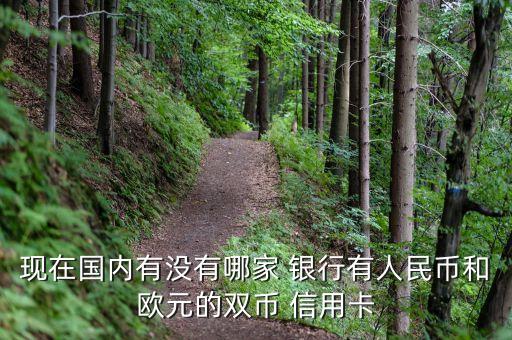 現(xiàn)在國(guó)內(nèi)有沒(méi)有哪家 銀行有人民幣和歐元的雙幣 信用卡