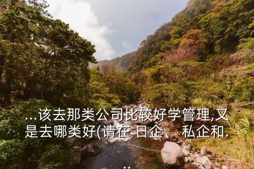 ...該去那類公司比較好學管理,又是去哪類好(請在 日企、 私企和...