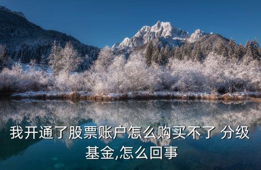 我開(kāi)通了股票賬戶怎么購(gòu)買(mǎi)不了 分級(jí) 基金,怎么回事