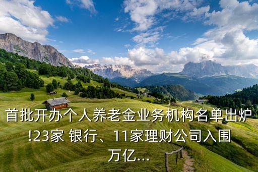 首批開辦個人養(yǎng)老金業(yè)務(wù)機構(gòu)名單出爐!23家 銀行、11家理財公司入圍萬億...