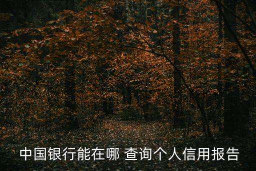  中國(guó)銀行能在哪 查詢(xún)個(gè)人信用報(bào)告