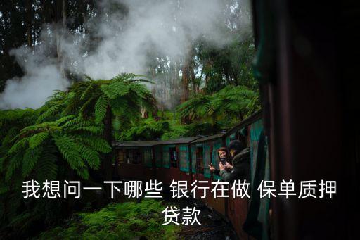 我想問一下哪些 銀行在做 保單質押 貸款