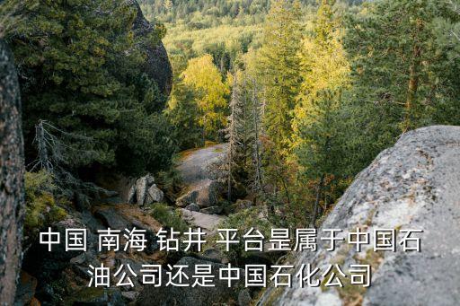 中國(guó) 南海 鉆井 平臺(tái)昰屬于中國(guó)石油公司還是中國(guó)石化公司