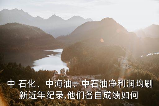 中 石化、中海油、中石油凈利潤均刷新近年紀(jì)錄,他們各自成績(jī)?nèi)绾? class=