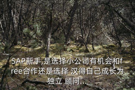 SAP新手,是選擇小公司有機(jī)會和free合作還是選擇 漢得自己成長為獨立 顧問...