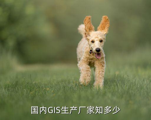 國(guó)內(nèi)GIS生產(chǎn)廠(chǎng)家知多少