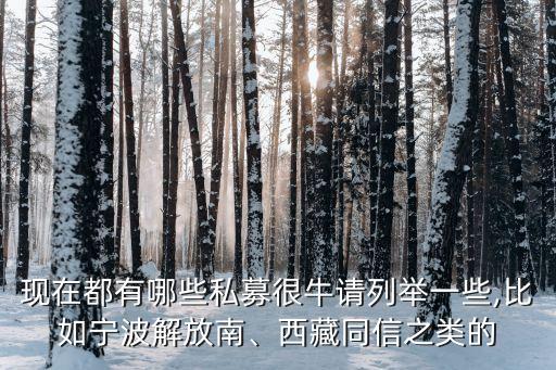 現(xiàn)在都有哪些私募很牛請(qǐng)列舉一些,比如寧波解放南、西藏同信之類的