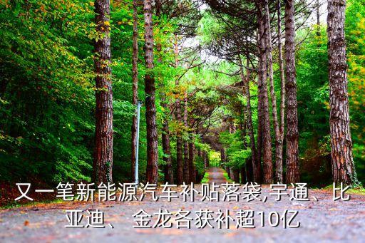 又一筆新能源汽車補(bǔ)貼落袋,宇通、比亞迪、 金龍各獲補(bǔ)超10億
