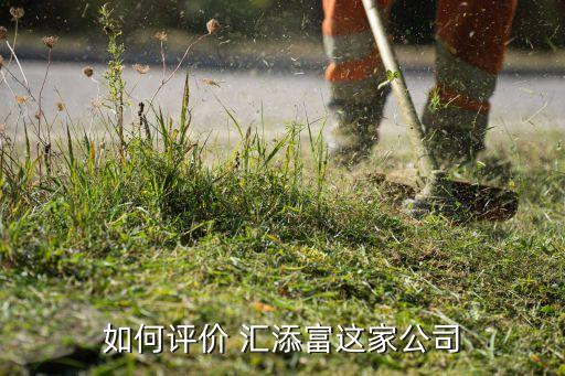 匯添富環(huán)?；饍糁?00696