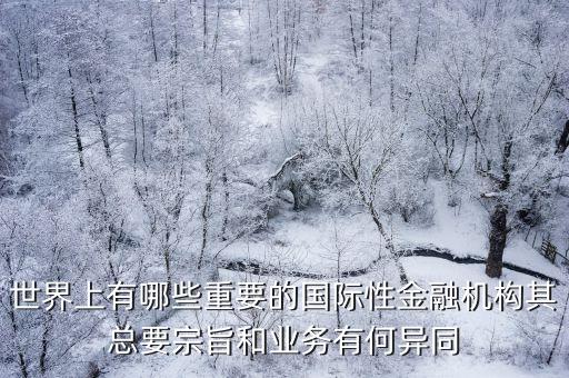 世界上有哪些重要的國際性金融機構(gòu)其總要宗旨和業(yè)務有何異同