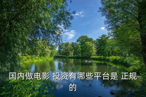 國內(nèi)做電影 投資有哪些平臺是 正規(guī)的