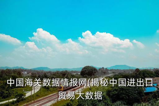 中國海關數(shù)據情報網(揭秘中國進出口 貿易大數(shù)據