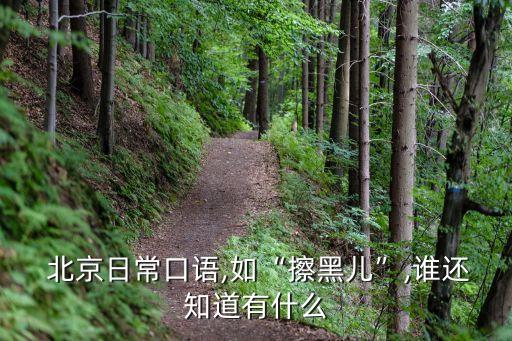  北京日常口語,如“擦黑兒”,誰還知道有什么
