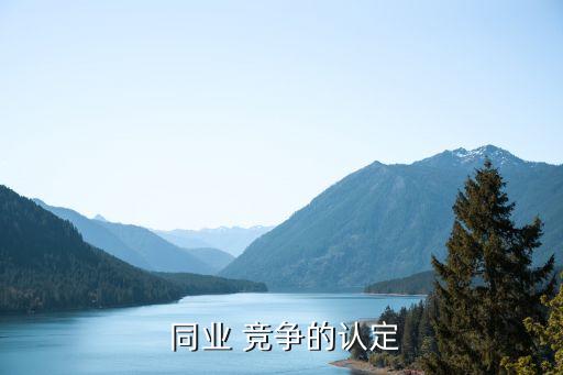  同業(yè) 競(jìng)爭的認(rèn)定